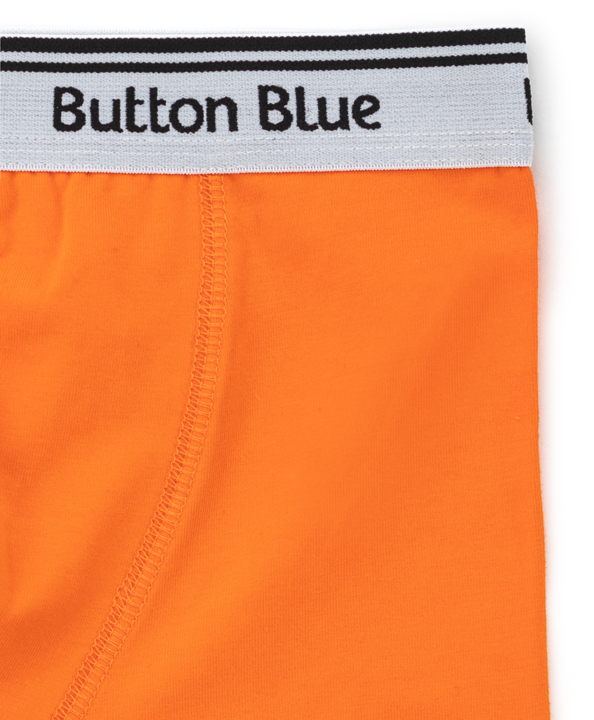 Трусы боксеры с динозавром и принтом комплект для мальчика Button Blue