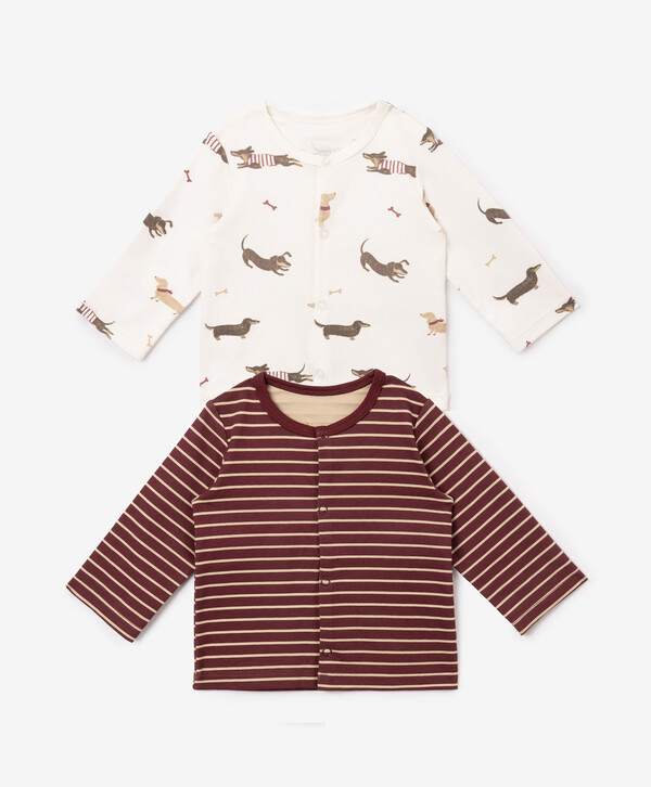 Кофта с длинным рукавом для мальчика комплект из 2-х штук мультицвет Baby Gulliver