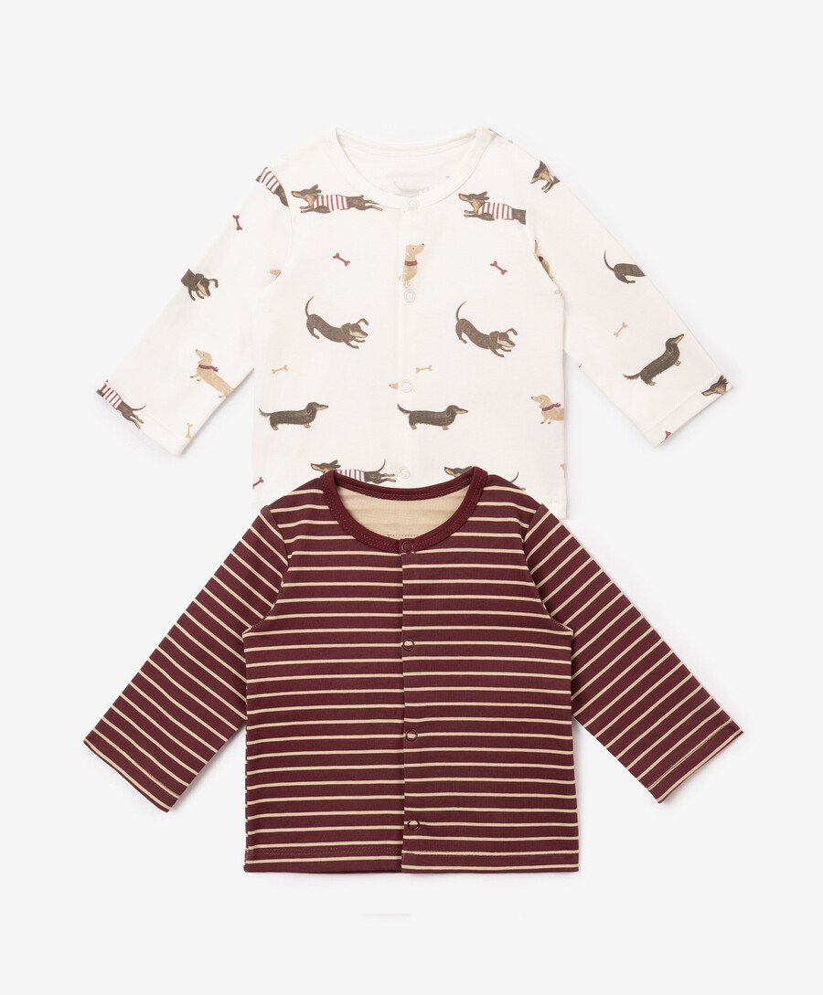 Кофта с длинным рукавом для мальчика комплект из 2-х штук мультицвет Baby Gulliver